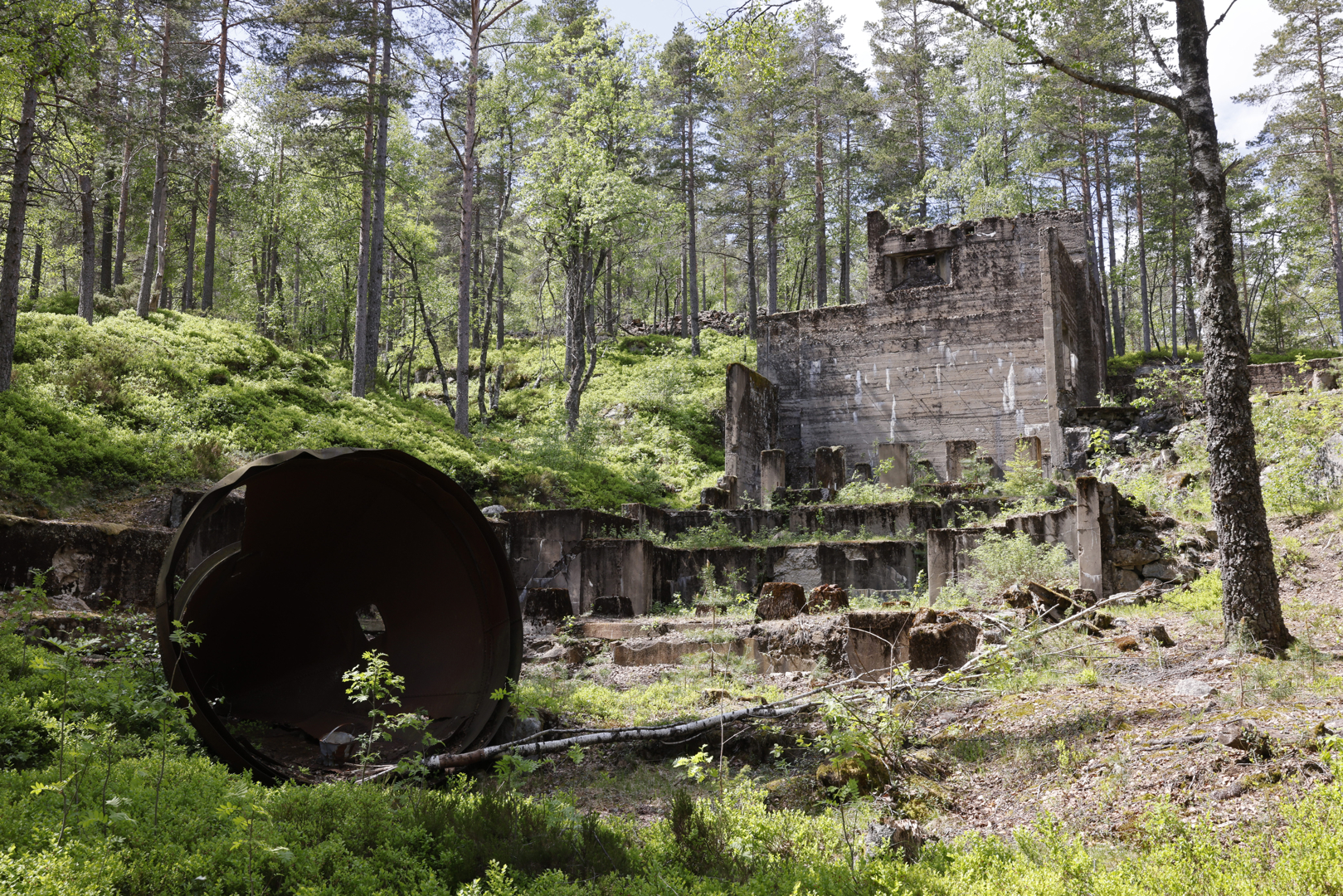 Naturlos til Flottorp molybdengruver